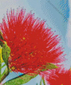 Red Pohutukawa Flower Diamond Painting