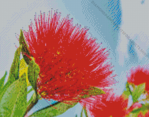 Red Pohutukawa Flower Diamond Painting