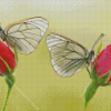 Red Roses And Butterflies Diamond Painting