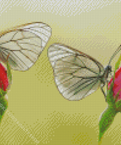 Red Roses And Butterflies Diamond Painting