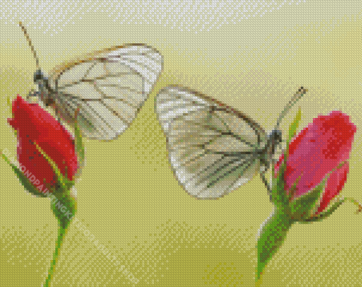 Red Roses And Butterflies Diamond Painting