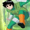 Rock Lee Diamond Painting