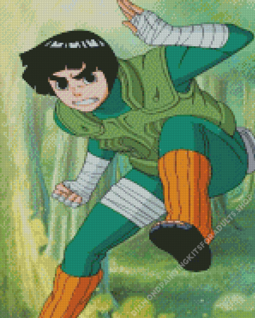 Rock Lee Diamond Painting