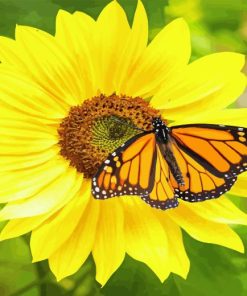 Sunflower With Monarch Butterfly Diamond Painting