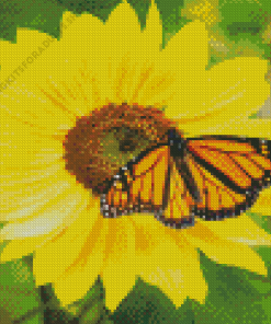 Sunflower With Monarch Butterfly Diamond Painting