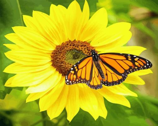 Sunflower With Monarch Butterfly Diamond Painting