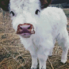 White Mini Cow Diamond Painting