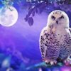 White Owl In Purple Sky With Moon Diamond Painting