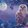 White Owl In Purple Sky With Moon Diamond Painting