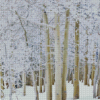 Winter Aspen Trees Landscape Diamond Painting