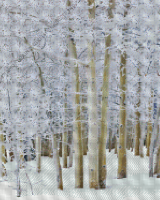 Winter Aspen Trees Landscape Diamond Painting