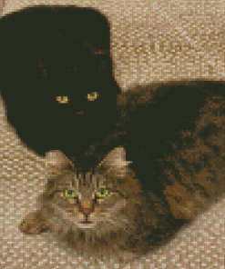 Black And Tabby Cats Diamond Painting