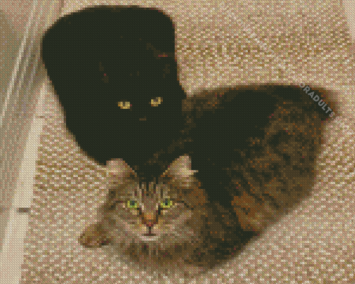 Black And Tabby Cats Diamond Painting