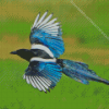 Black Billed Magpie Wings Diamond Painting