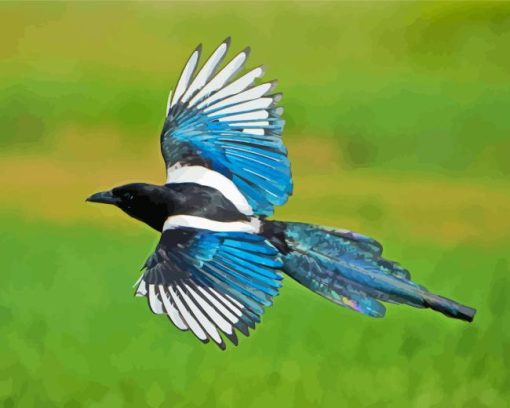 Black Billed Magpie Wings Diamond Painting