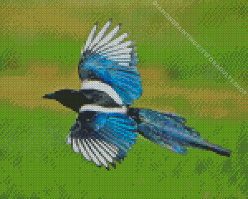 Black Billed Magpie Wings Diamond Painting