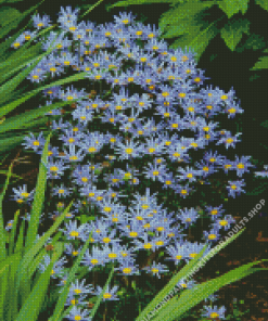 Blue Daisies Flowers Diamond Painting