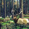 Elk Herd In Forest Diamond Painting