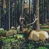 Elk Herd In Forest Diamond Painting