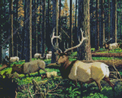 Elk Herd In Forest Diamond Painting