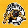 Hamilton Tiger Cats Football Team Logo Diamond Painting