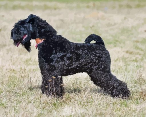 Kerry Blue Terrier In Field Diamond Painting