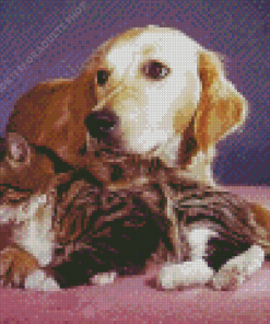 Lab And Cat Diamond Painting