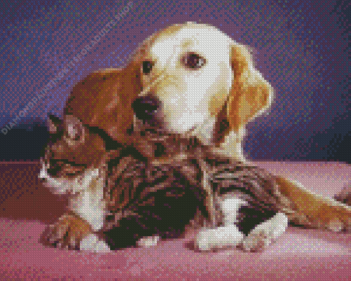 Lab And Cat Diamond Painting