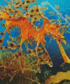 Leafy Seadragon Diamond Painting