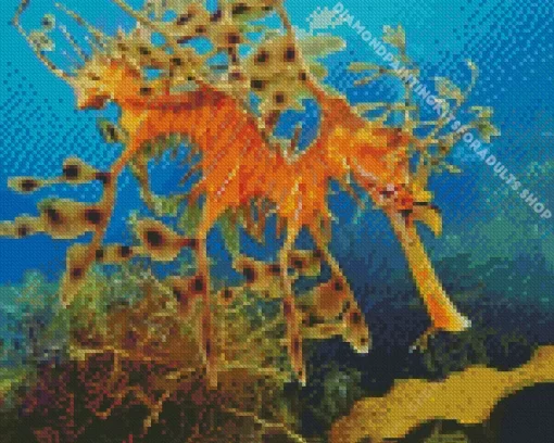 Leafy Seadragon Diamond Painting