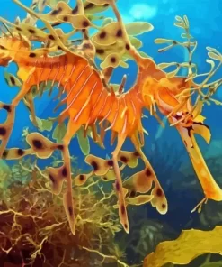 Leafy Seadragon Diamond Painting