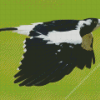 Magpie Lark Flying Bird Diamond Painting