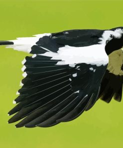 Magpie Lark Flying Bird Diamond Painting