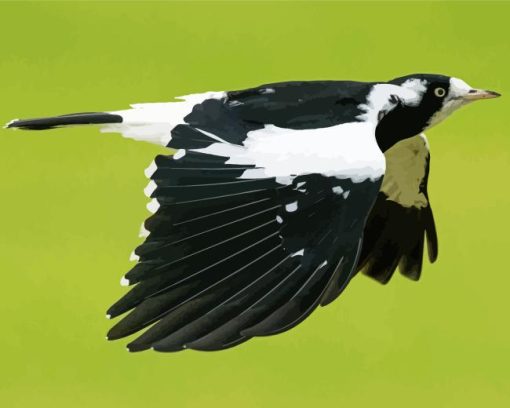 Magpie Lark Flying Bird Diamond Painting