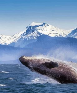 Orca In Glacier Bay National Park Diamond Painting