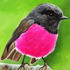 Pink Robin Diamond Painting