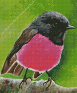 Pink Robin Diamond Painting