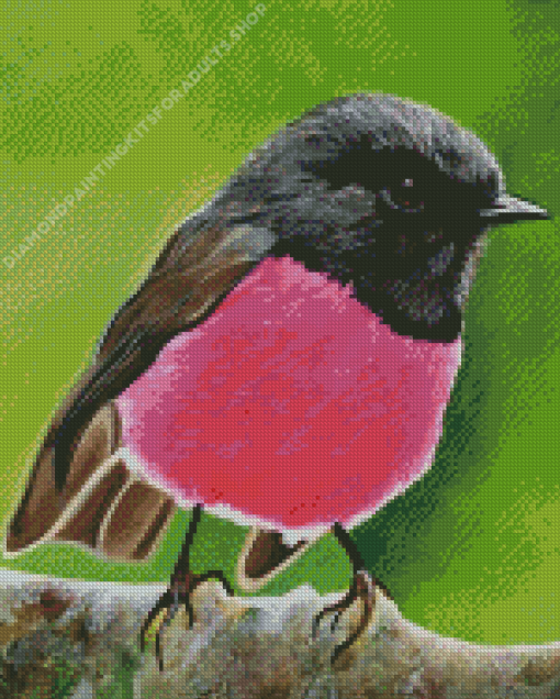 Pink Robin Diamond Painting