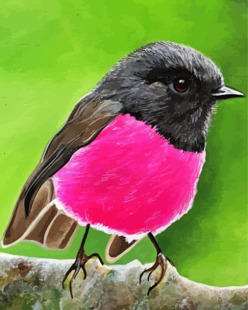 Pink Robin Diamond Painting