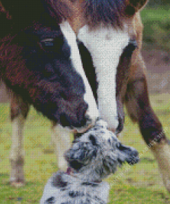 Shepherd And Horses Diamond Painting