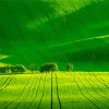 South Moravia Landscape Diamond Painting