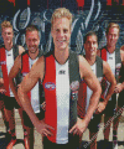 St Kilda Saints Club Diamond Painting