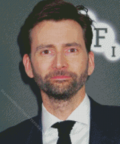 The Scottish Actor David Tennant Diamond Painting