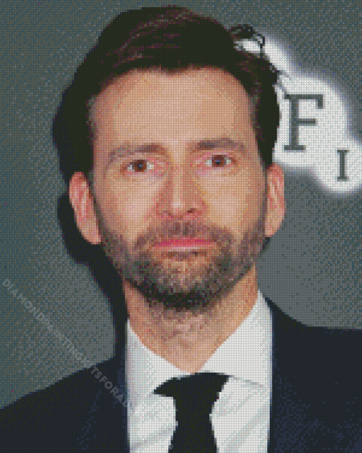 The Scottish Actor David Tennant Diamond Painting