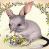 Bilby And Flowers Basket Diamond Painting