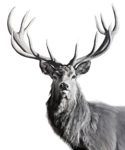 Black And White Highland Stag Diamond Painting