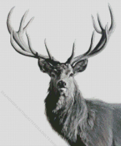 Black And White Highland Stag Diamond Painting