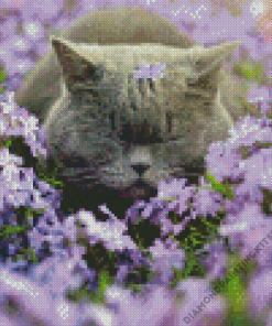 Cat Sleeping In Purple Flowers Field Diamond Painting