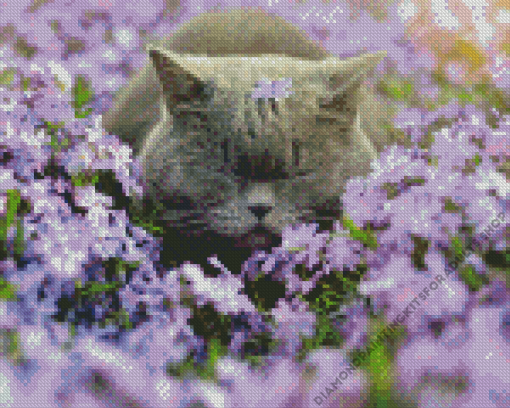 Cat Sleeping In Purple Flowers Field Diamond Painting