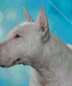 Cute White Bull Terrier Diamond Painting